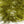Microflex Palmered Bugger Chenille