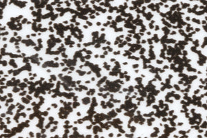 Mottled Transparent Slim Skin