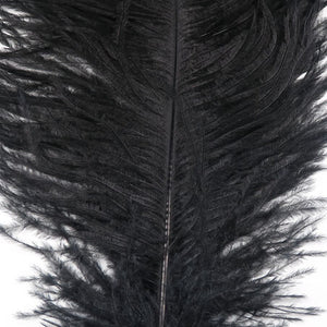 Ostrich Herl