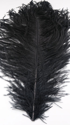 Ostrich Herl