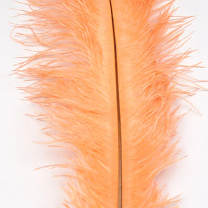 Ostrich Herl