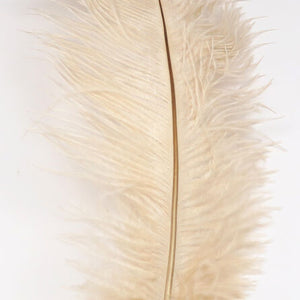 Ostrich Herl