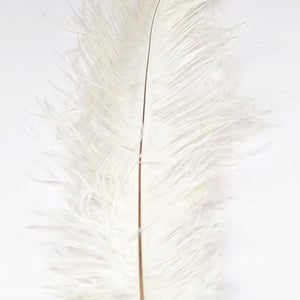 Ostrich Herl