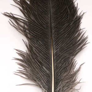 Ostrich Herl