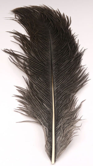 Ostrich Herl