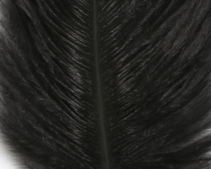 Ostrich Marabou
