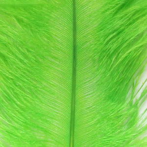 Ostrich Marabou