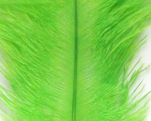Ostrich Marabou