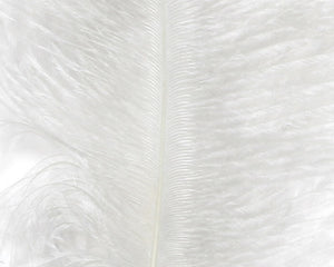 Ostrich Marabou