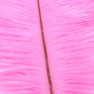 Ostrich Marabou