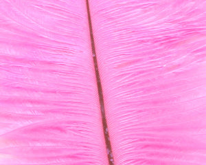 Ostrich Marabou