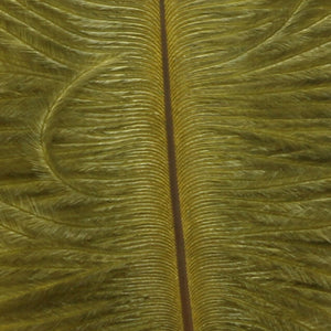Ostrich Marabou
