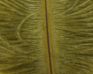 Ostrich Marabou
