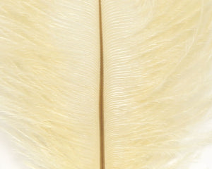 Ostrich Marabou