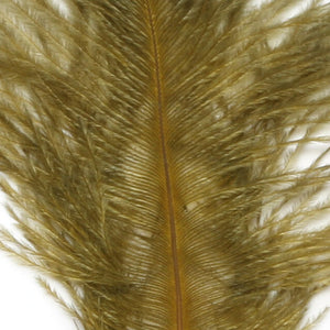 Ostrich Marabou