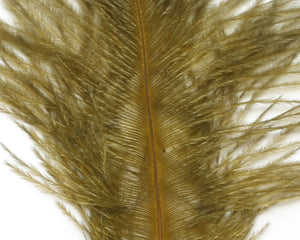 Ostrich Marabou