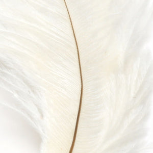 Ostrich Marabou