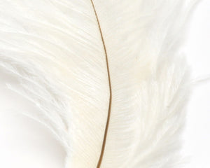 Ostrich Marabou