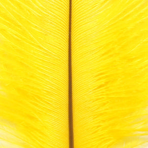 Ostrich Marabou