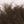 Ozzie Possum Fur