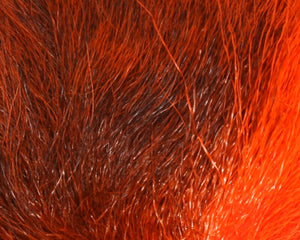 Petite Bucktail