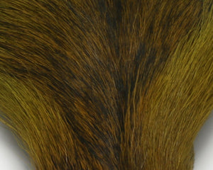 Petite Bucktail