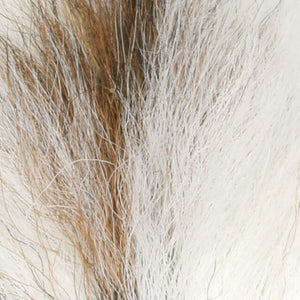 Petite Bucktail