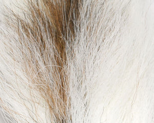 Petite Bucktail