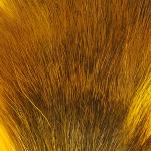Petite Bucktail