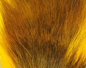 Petite Bucktail