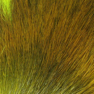 Petite Bucktail