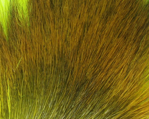 Petite Bucktail