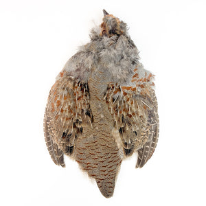 Hungarian Partridge Skin