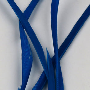 Stripped Goose Biots