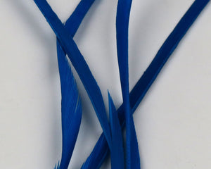 Stripped Goose Biots