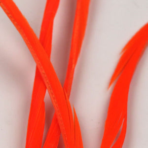 Stripped Goose Biots