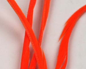 Stripped Goose Biots