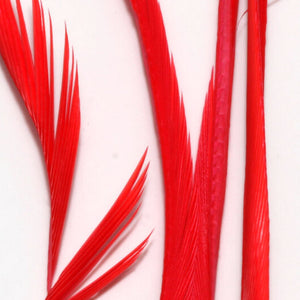 Stripped Goose Biots