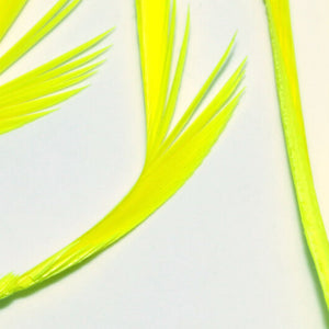 Stripped Goose Biots