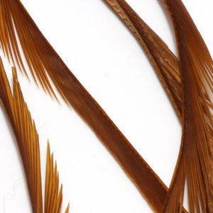 Stripped Goose Biots