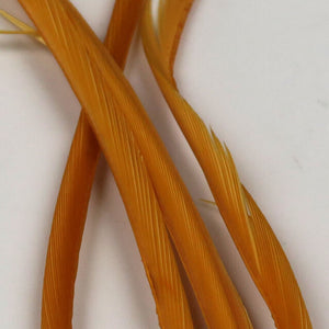 Stripped Goose Biots