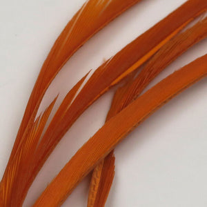 Stripped Goose Biots