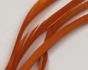 Stripped Goose Biots