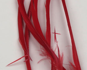 Stripped Goose Biots