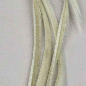 Stripped Goose Biots