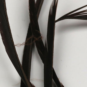 Stripped Goose Biots