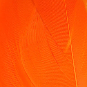 Select Goose Shoulder