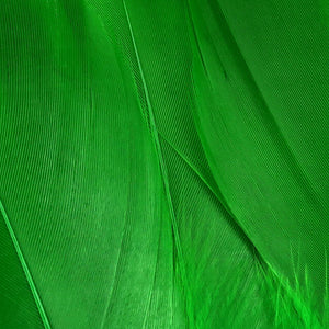 Select Goose Shoulder