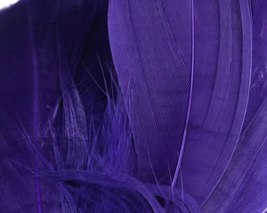 Select Goose Shoulder