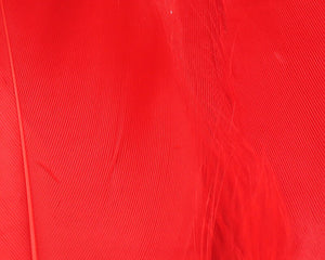 Select Goose Shoulder